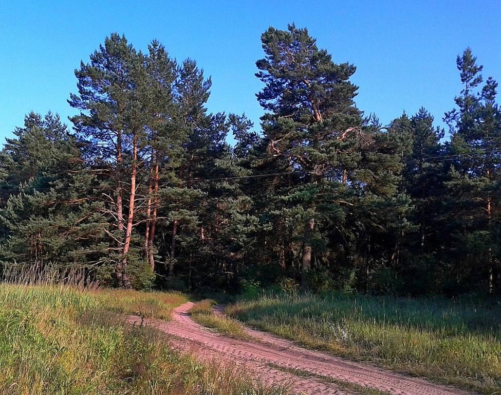 Дома для отпуска Солнечный Домик в Хвояновке Каменюки