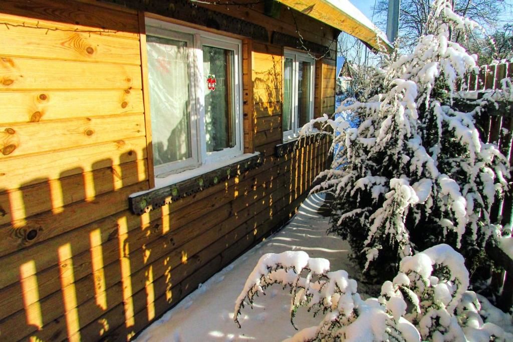 Дома для отпуска Солнечный Домик в Хвояновке Каменюки-80